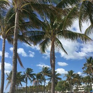 Meet your Posher, Jon